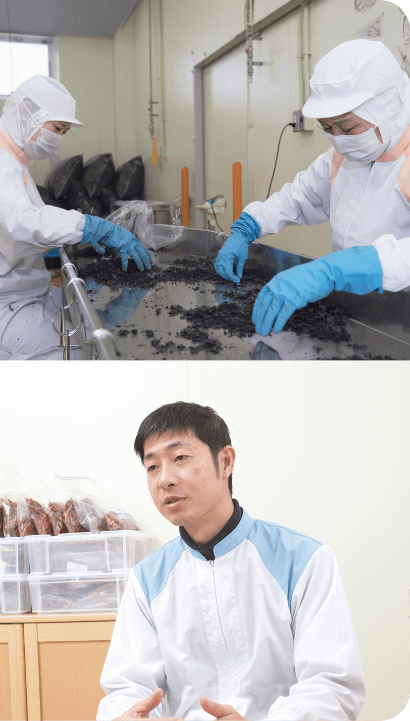 根元 八幡屋礒五郎 北村さん / 製造部部長兼工場長