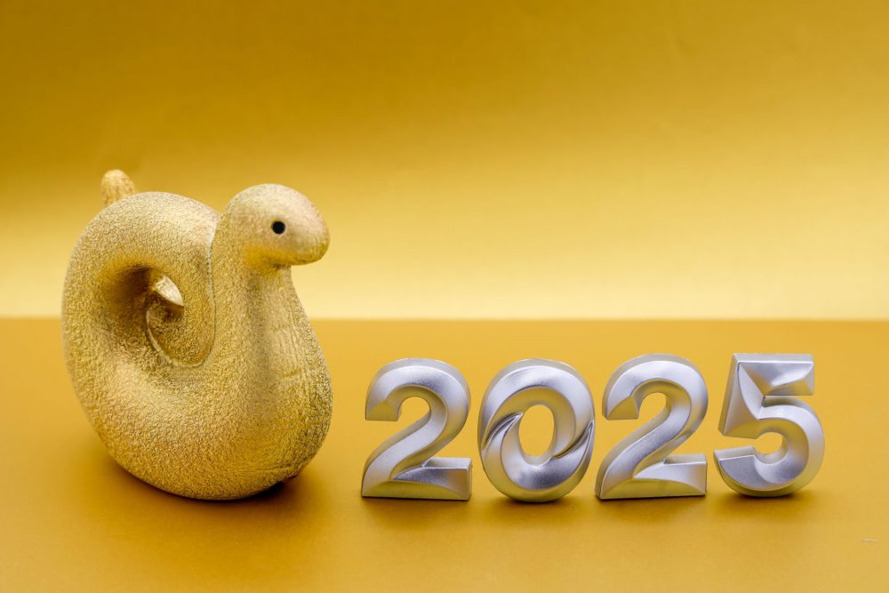 2025年がスタート！ 本年も宜しくお願いいたします