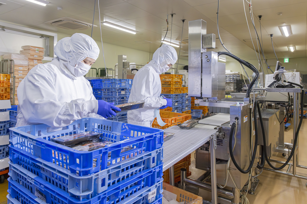 株式会社プロフィッシュ