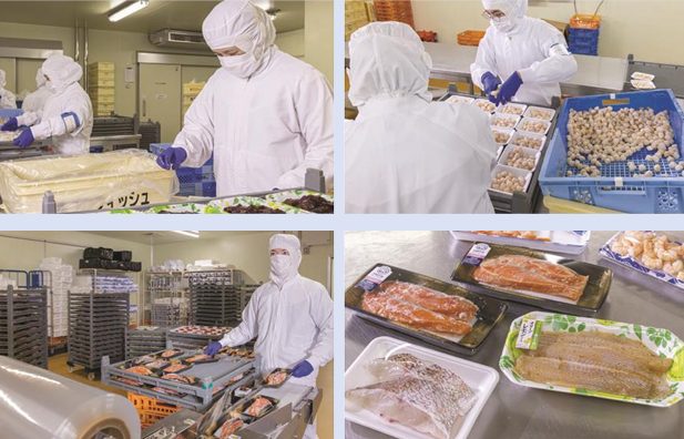 株式会社プロフィッシュ